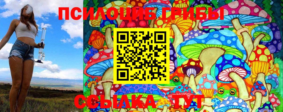 Псилоцибиновые грибы прущие грибы  Галлюциногенные грибы MAGIC MUSHROOMS  Димитровград  Вход с VPN 