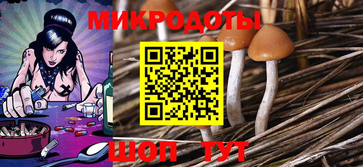 Галлюциногенные грибы Cubensis Димитровград